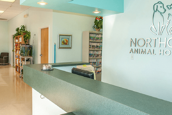 Colorado Springs Veterinarian - New Patient at Northgate Animal Hospital