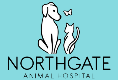 Vet Near Me 80921 - Contact - Northgate Animal Hospital