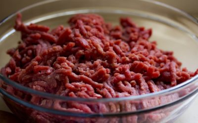 Raw Or Undercooked Animal-Source Protein In Cat and Dog Diets
