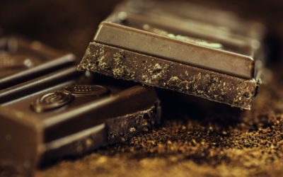 Harmful Foods For Your Companion
