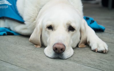 Questions To Ask Before Anesthesia